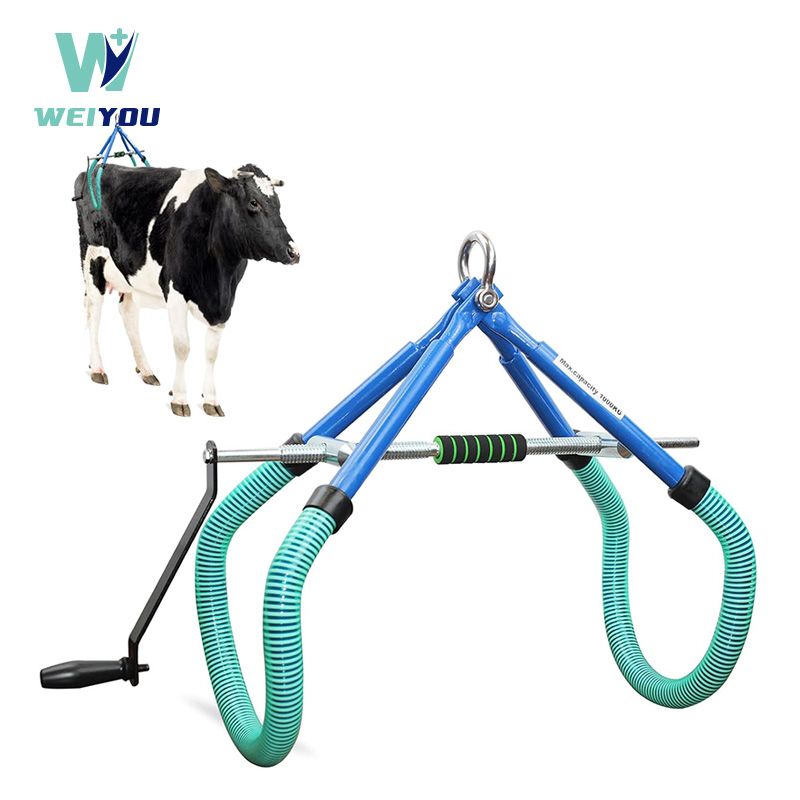 Sapi Angkat Sling karo Hip Clamp